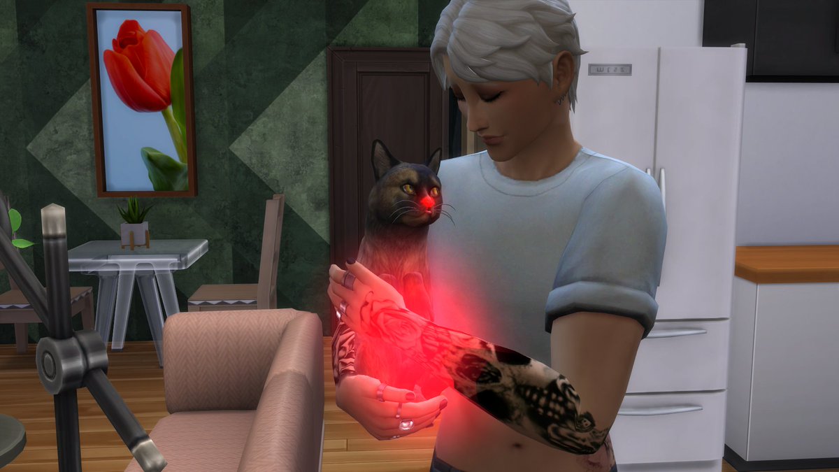 EveeSims's tweet photo. The next morning Lily wakes up Joon-Wo at 4 am, but it looks like she had a good reason and he had to immedietly take her to the vet. https://t.co/qYVXZELUuF