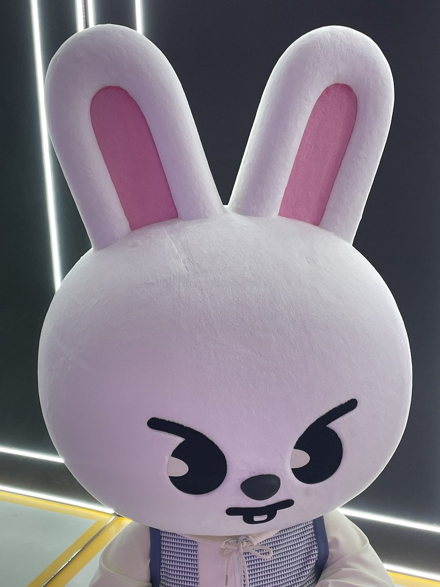 🐰