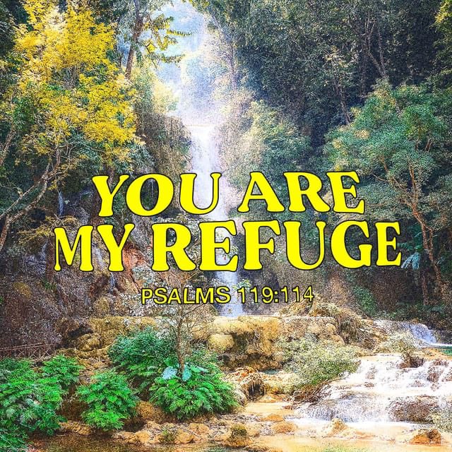 Dr. Melissa Skinner tweet media