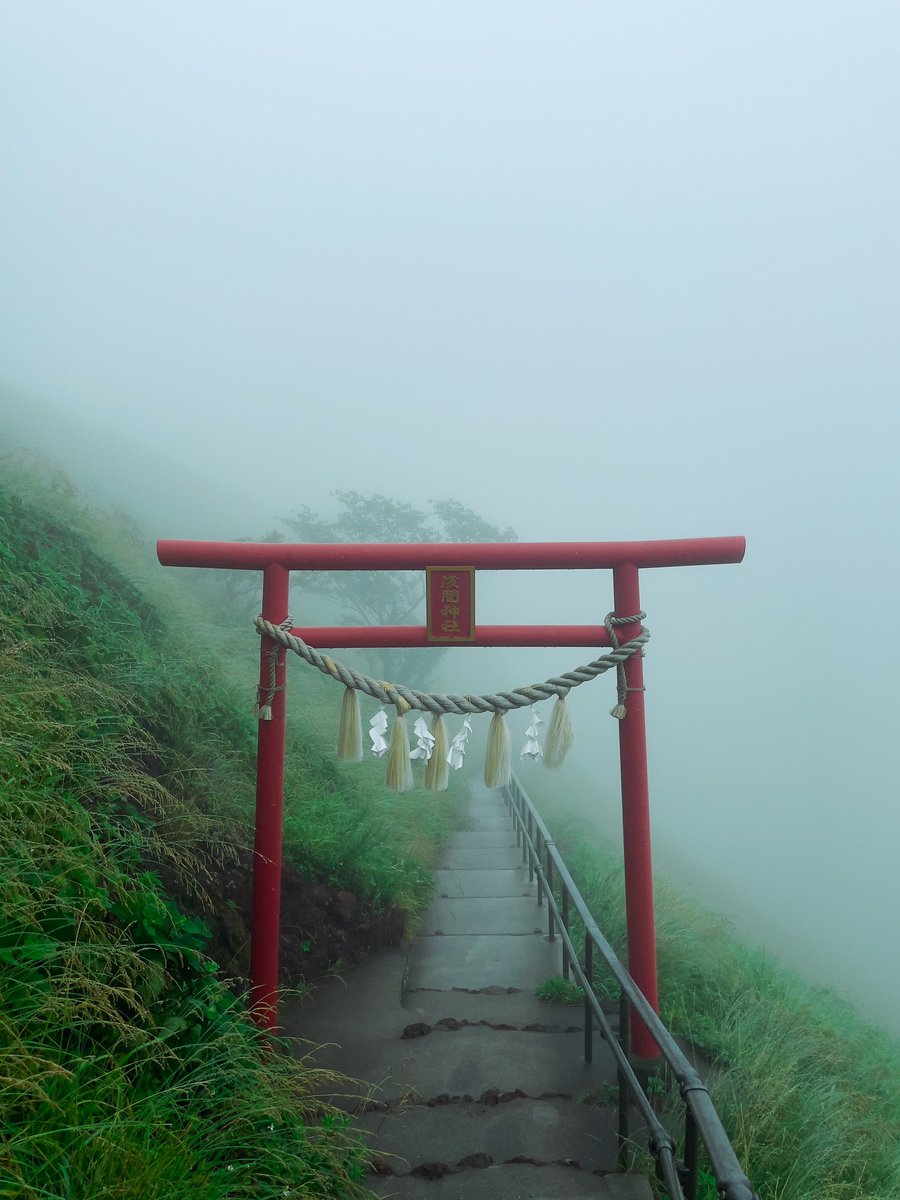 Günün güzel köşesi. İki dünya arasında bir Torii kapısı ⛩️静岡県