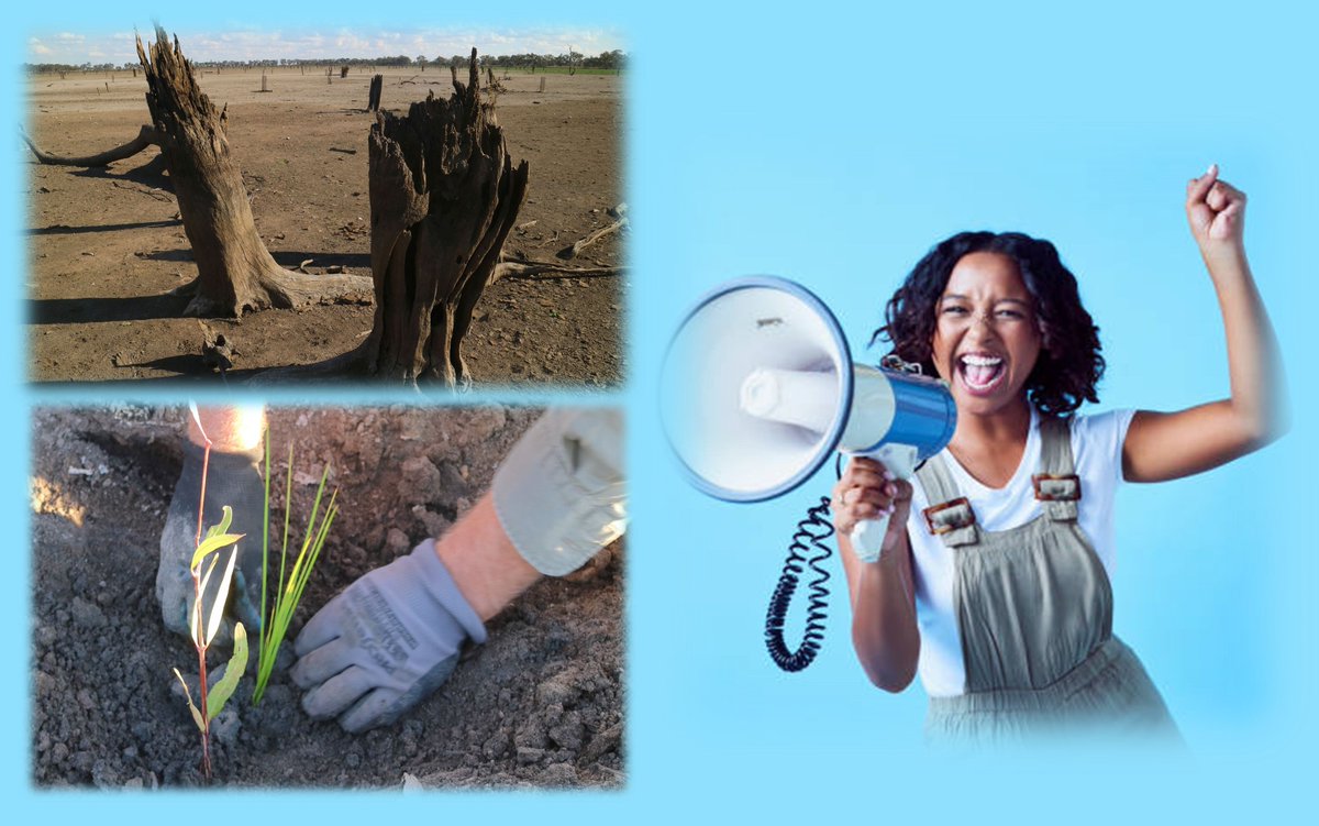 The overarching goals of Australia’s Restoration Decade Alliance are to:

· Spread the word to all Australians about the UN Decade!

· Encourage all Australians to help halt degradation and undertake high quality restoration.