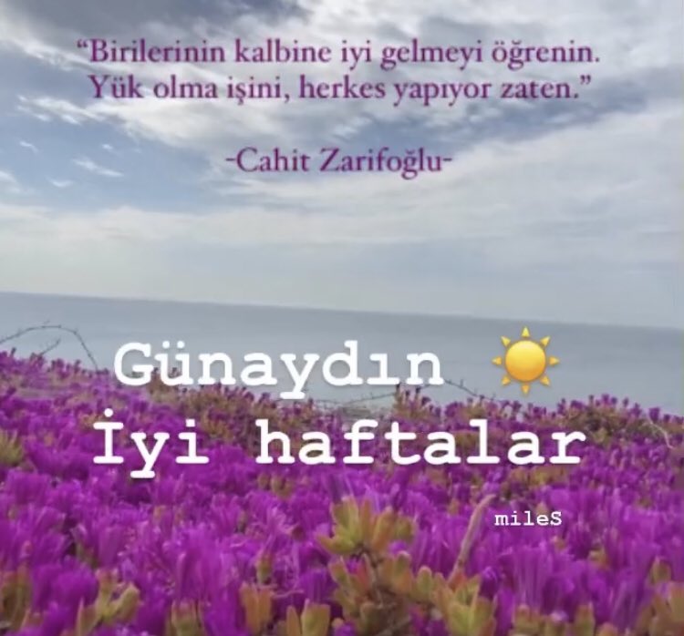 #Pazartesi #iyihaftalar #günaydın #hayırlısabahlar #hayırlıişler 💛💙