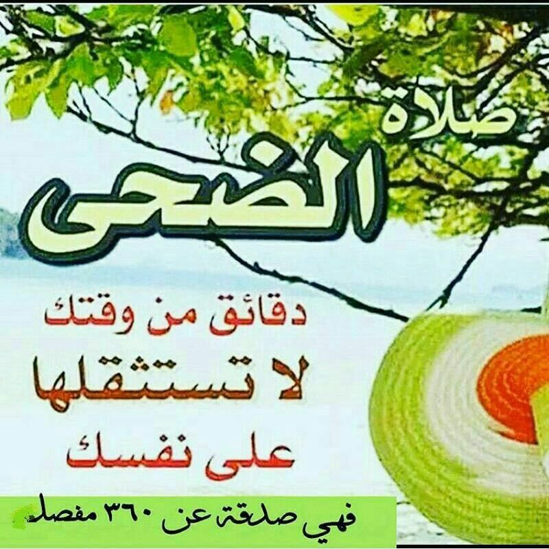 🍁 محمد 🍁 أذكار وصدقات🍁 (@lsn77476417) on Twitter photo 2023-06-12 04:25:44