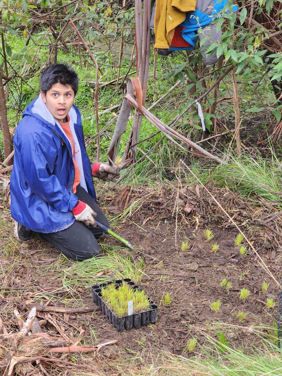 WhitehorseRAC's tweet photo. We always have a blast joining the Andersons Creek Landcare group for some grass planting!
#Whitehorse #WhitehorseRotaract #RotaractAustralia #Rotaract https://t.co/ghCGegfX6g