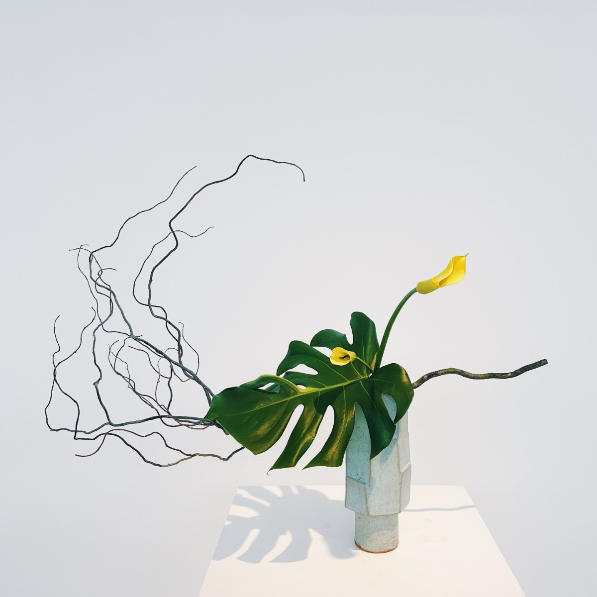 Ikebana artist Tomomi Tanowaki has used dried willows, yellow calla lilies and a freshly cut monstera leaf to complete this week's harmonious arrangement. 🌼 〰️🍃 

On display now at QAG, open daily 10.00am – 5.00pm, free.

#IkebanaQAG #MuseumBouquet #QAGOMA #IkebanaBrisbane