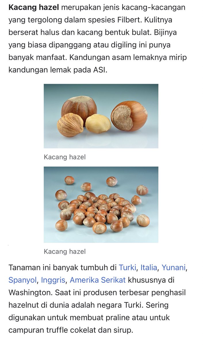 Apaka Bear On Twitter Muda Mudi Toktok Ini Ada Apa Sih Hazelnut apaka-bear-on-twitter-muda-mudi-toktok-ini-ada-apa-sih-hazelnut