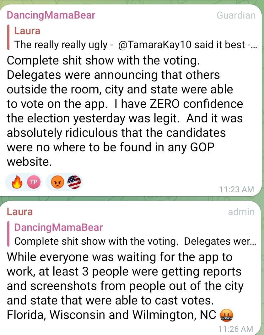 Apparently, there was election fraud at the NCGOP convention 🤣🤣