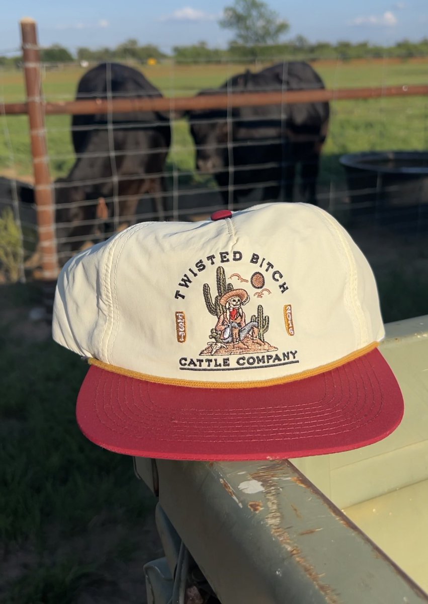 ๐ณ๐ถ๐จ๐ฒ๐ณ๐ค๐ฃ ๐ก๐จ๐ณ๐ข๐ง ๐ข๐ ๐ณ๐ณ๐ซ๐ค ๐ข๐ฎ tweet media