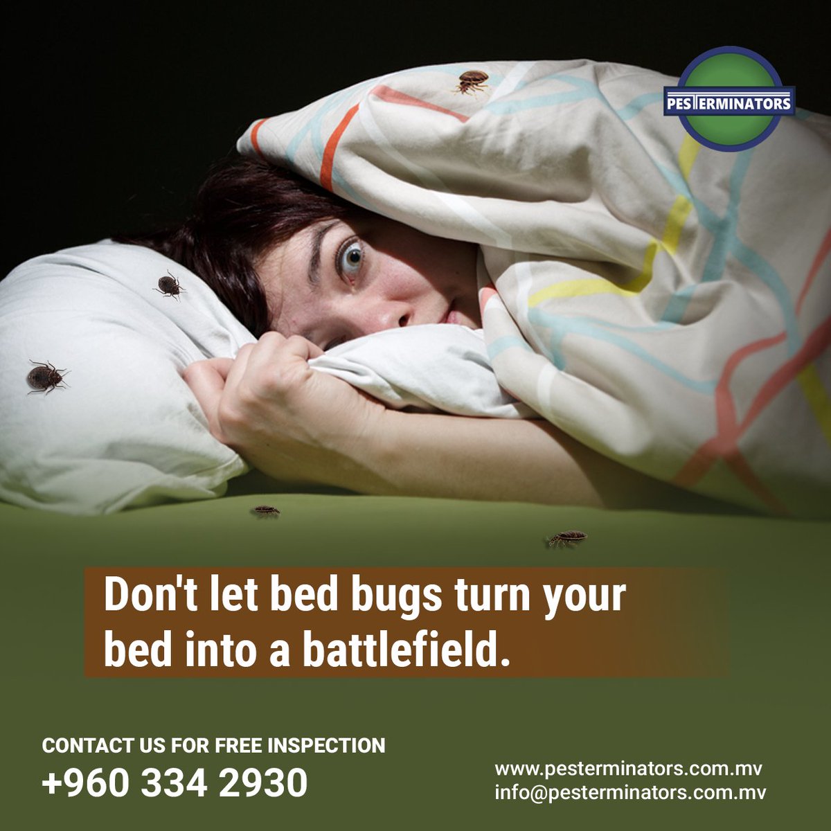 Don't let bed bugs turn your bed into a battlefield. 

Contact us +960 3342930

#Maldives #maldivesresorts #SunnySideOfLife #PestControl #Pesterminators #ResortLife #BedBugControl #PestManagement  #BedBugRemoval #ProfessionalServices #EffectiveTreatments #SayNoToBedBugs