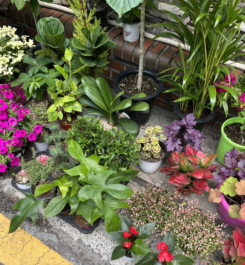 산책하다 만나는 수많은 방앗간들