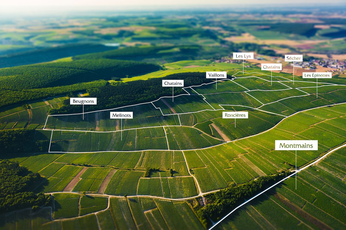 vinsdechablis's tweet photo. 🚁 {VAILLONS} Pour observer pleinement la grandeur de ce #Climat porte-drapeau étendu et profiter de son exposition Sud/Est réputée comme exceptionnelle, rien de tel que la vue aérienne.
👉 Découvrez-en plus sur les Climats de #Chablis https://t.co/XgE942kqVv
@VinsdeBourgogne https://t.co/UzZr0wD0kL