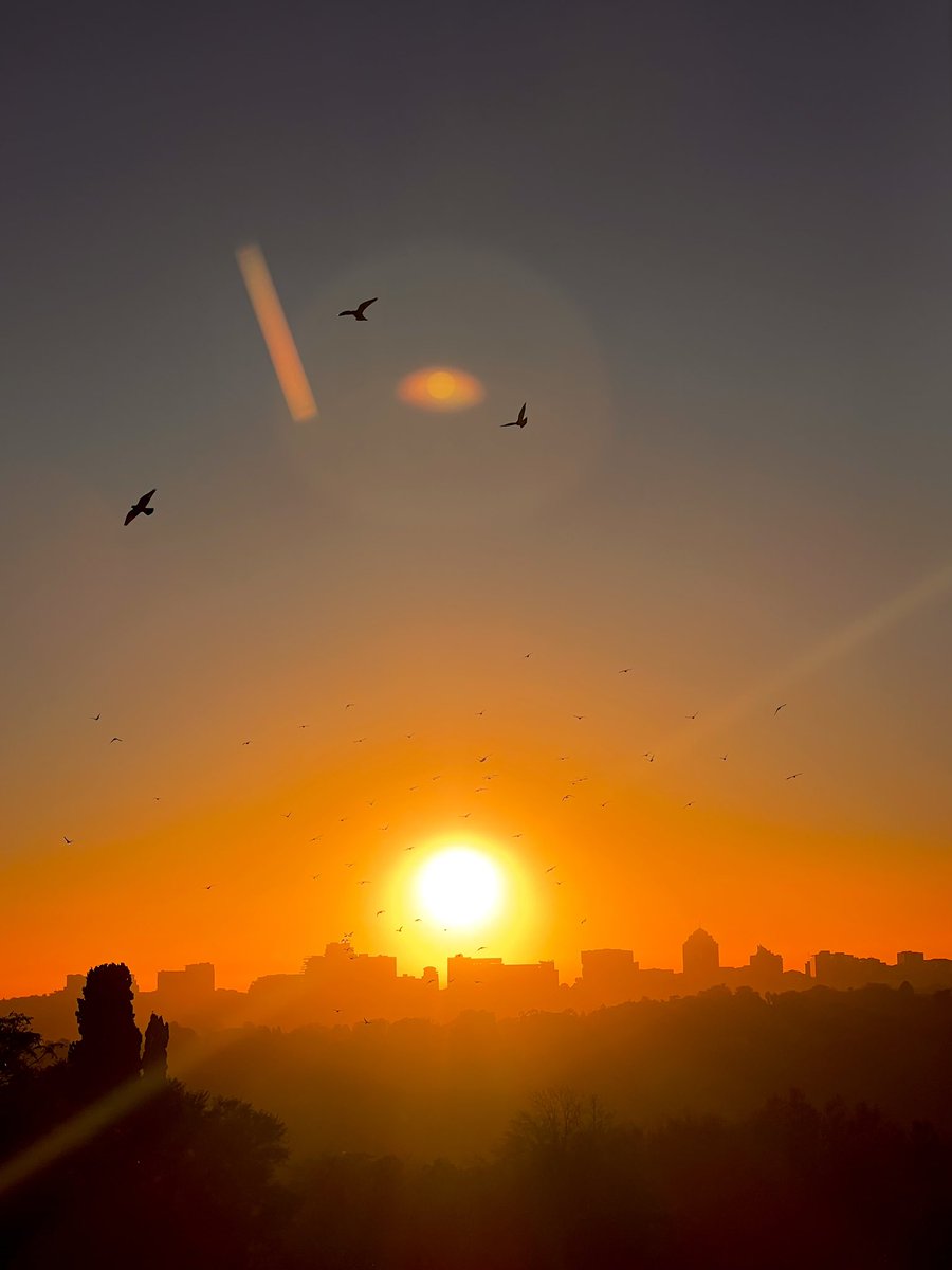 DenieceMarz's tweet photo. sunrise https://t.co/6WTXedSEfM