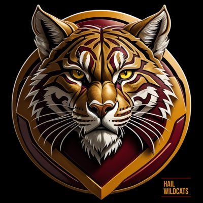 HailWildcats's tweet photo. #NewProfilePic https://t.co/E47KQjogsr