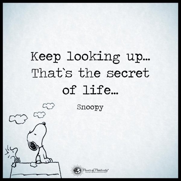 Keep looking up... That's the secret of life... #Quotes #Snoopy #JoyTrain #Lightupthelove #LUTL #Secret #Life #LookUp #PositiveVibes #Inspiration #Thinkbigsundaywithmarsha