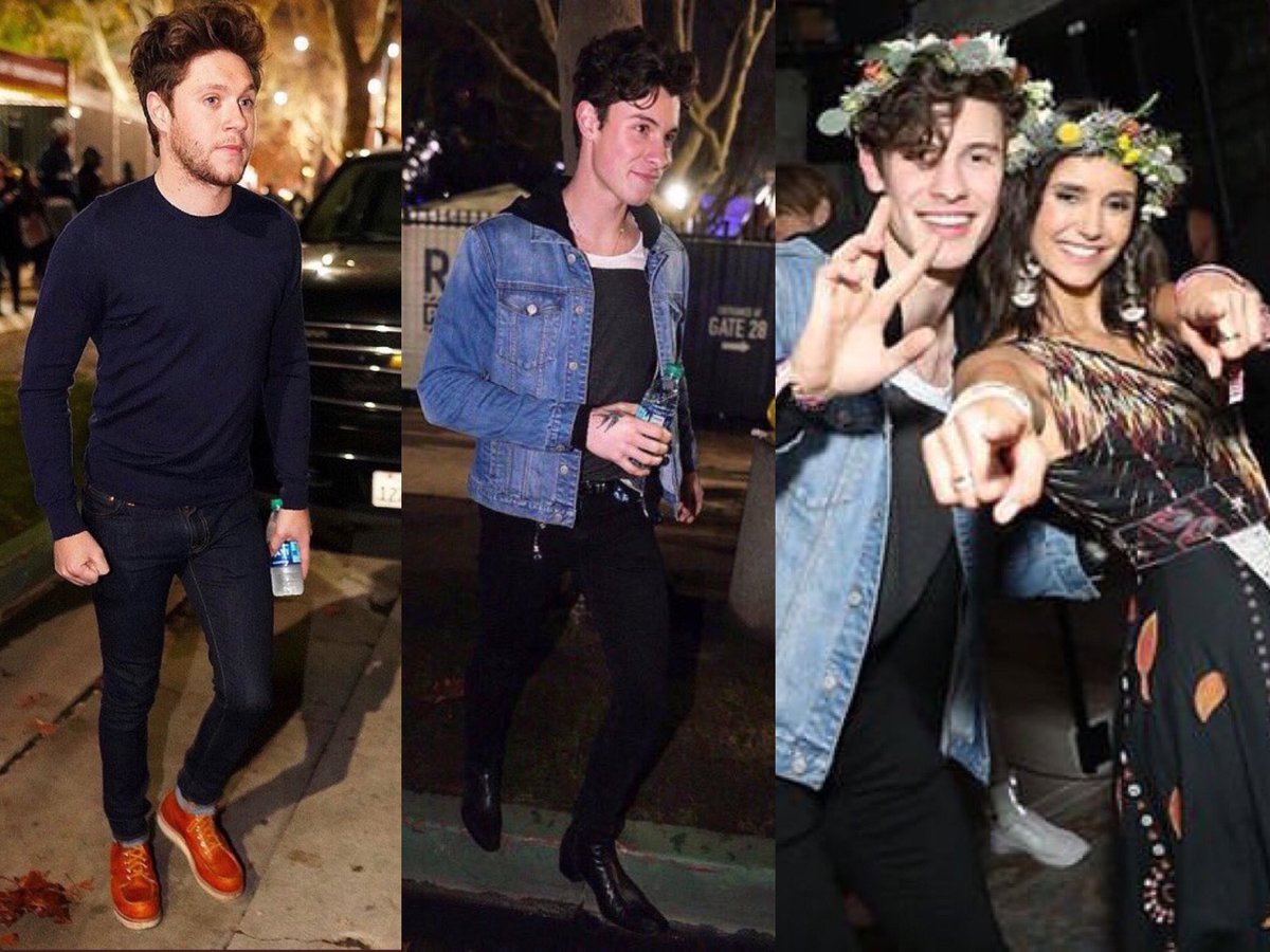 Remember when Shawn and Niall went to Nina Dobrev’s party in February 2019?