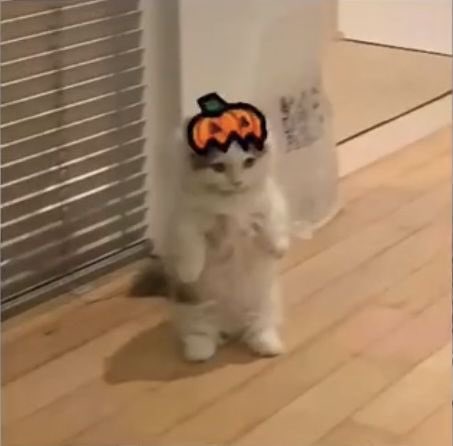 Colebeers's tweet photo. @MythyMoo https://t.co/goPfyoVKLZ