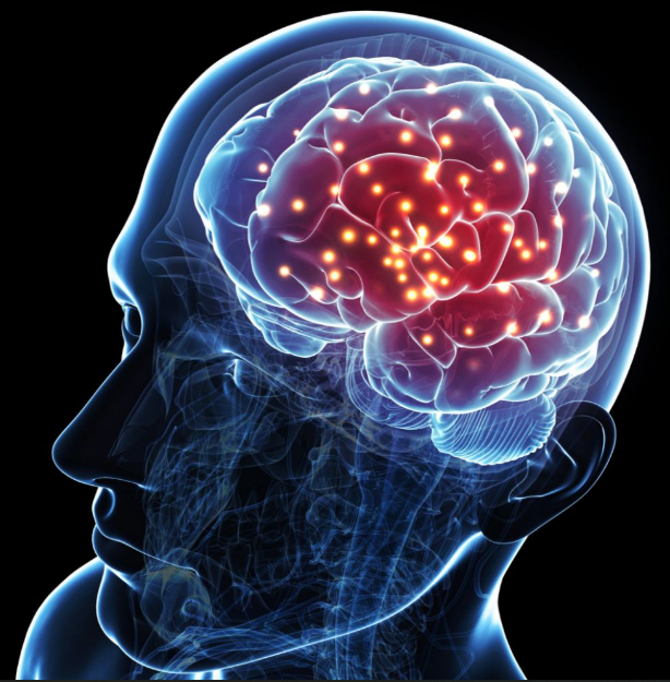 CharmanesPobite's tweet image. #Disorientation #Conquest :  #International~{#Sicherheit des #Spektrums}~#Law