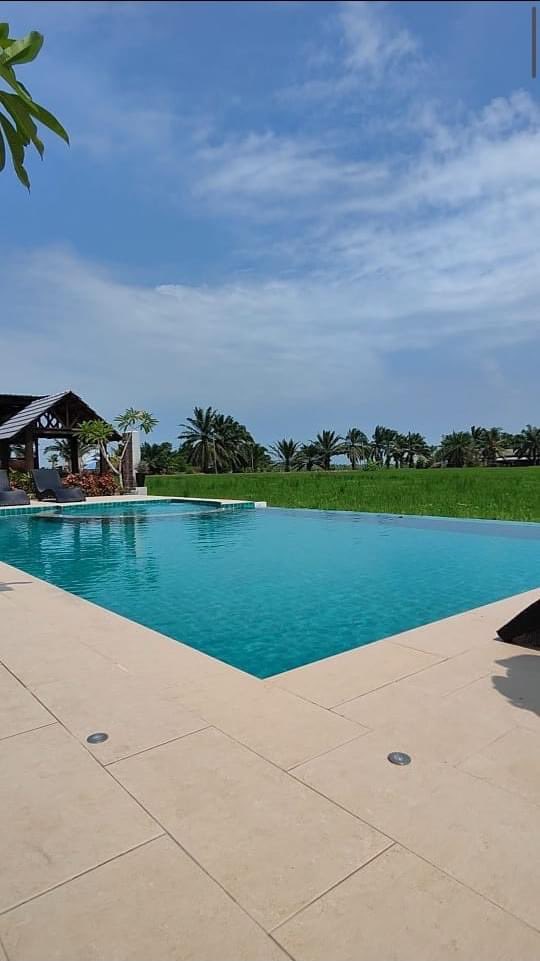Jomkitamy's tweet photo. Homestay with Infinity Pool tengah sawah padi! #Jomkita 

Besar weh homestay ni, yang paling best viewww dia peh tenang~ 

📍 Sungai Besar , Selangor https://t.co/1xZjPoxVmC