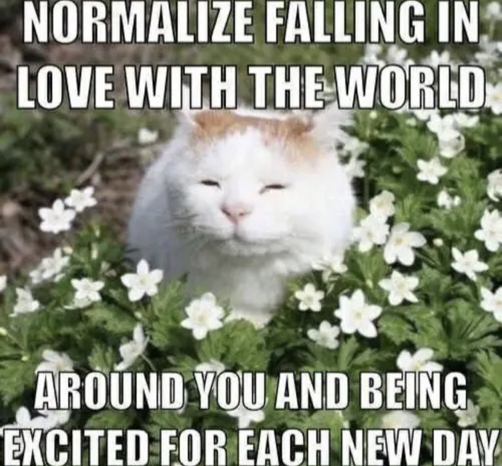 The Notorious J.O.V. (@whotfisjovana) on Twitter photo 