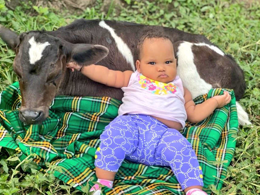 The most beautiful photo you will see online today ❤️😍.

So lovely 🌹