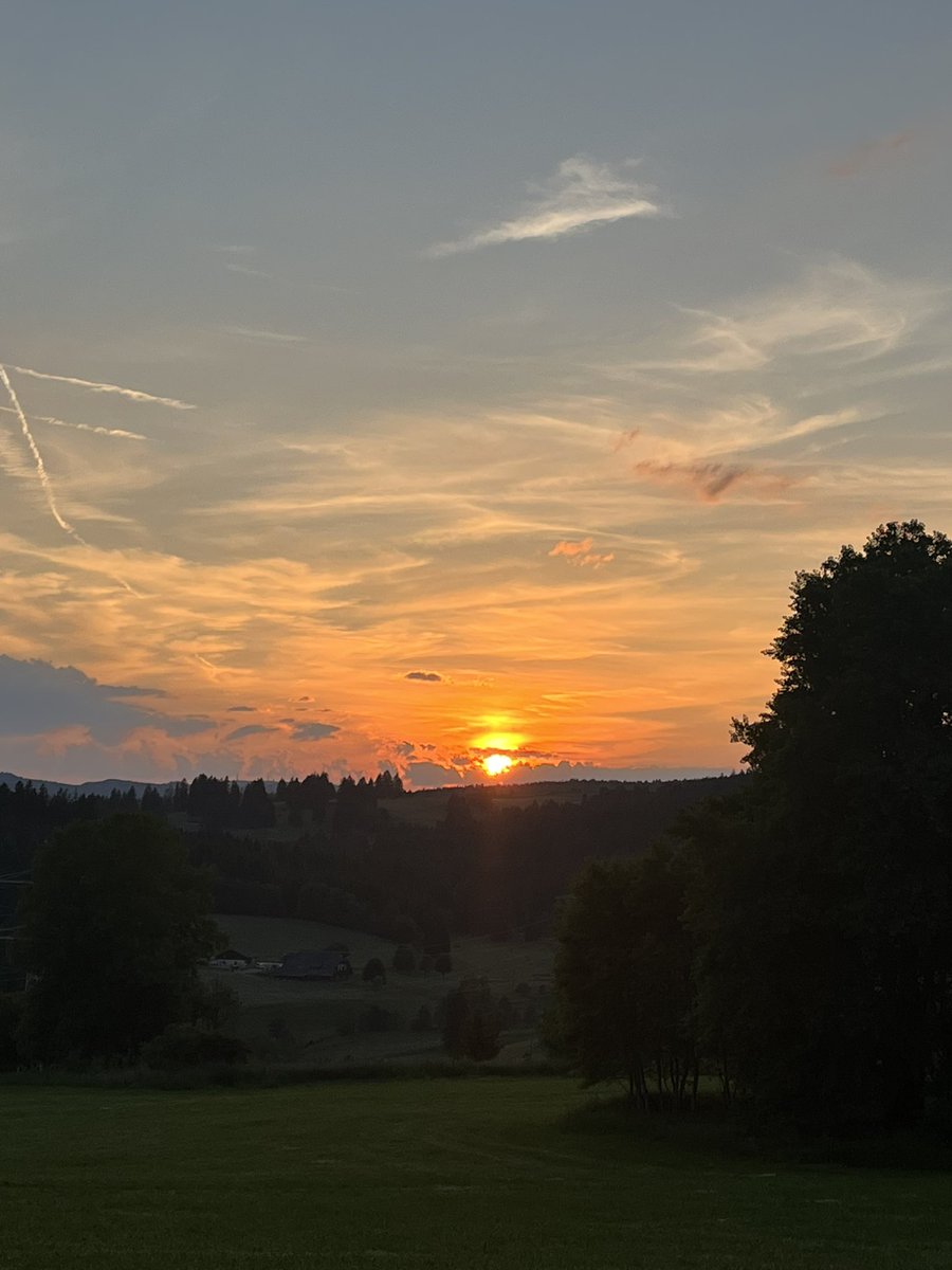 gupta_vikram's tweet image. Schwarzwald summers.