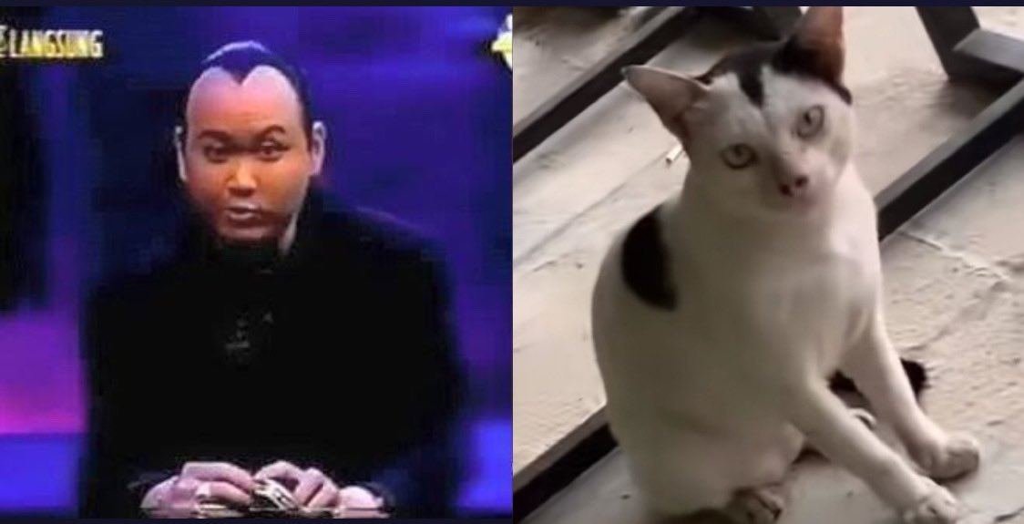 <a href="/convomf/">Convomf</a> Maav om ded 😭🙏🏻