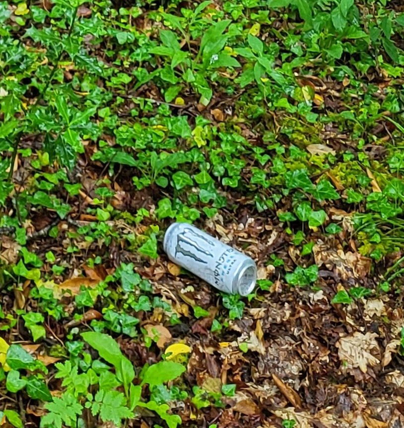 Eoghan Daltun 🌍 tweet media