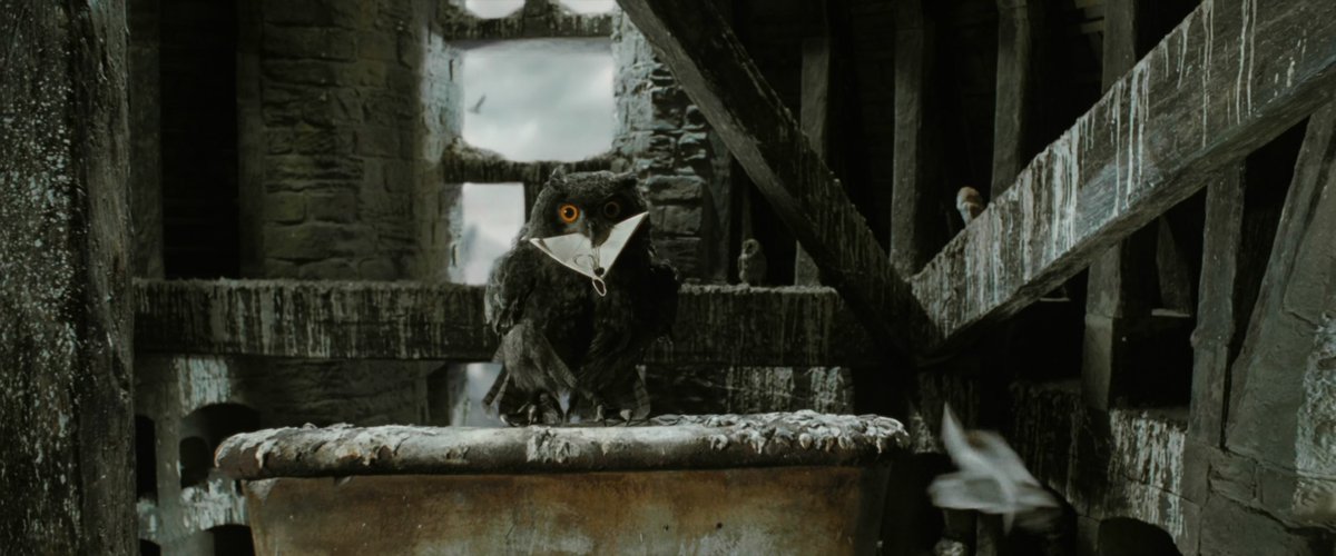 It took six months to teach the many owls used during filming how to carry letters.