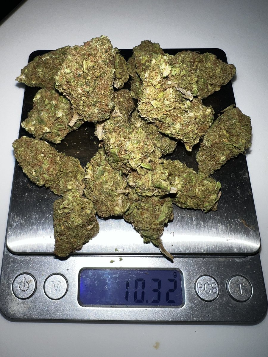 TheJoe420weed's tweet photo. รีทวิต=สุ่มแจกในกลุ่ม ดอกไม้/กิ่งชำ  พร้อมแบ่งปันกัญเสมอครับ หลักร้อยหลับสิบแบ่งหมดจ้าาา  #ขายกัญชา #กัญชารังสิต #ขายกัญชากทม #ขายกัญชา  #สายเขียว #เมืองทอง #รังสิตภิรมย์ #ลาดพร้าว #มอกรุงเทพ #เสรีกัญชา #มอรังสิต  #กัญชาไทย #รังสิตภิรมย์ #กิ่งชำ #ต้นกัญชา #ค่ายexotic #ค่ายinhouse https://t.co/pUujjX3U0F