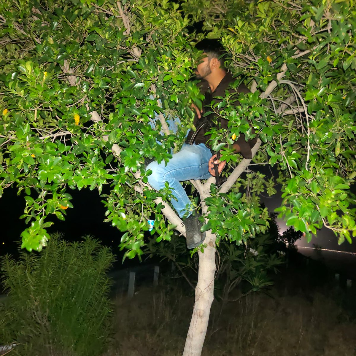 timesofindia's tweet photo. Cops take up position on trees to track looters on Yamuna expressway 

After two recent cases of looting of commuters on the busy Yamuna expressway, Mathura police on Sunday issued sketches of four suspects alleged to be involved in the crime.

https://t.co/m0QJWVVLWa https://t.co/iIlugjG6tU