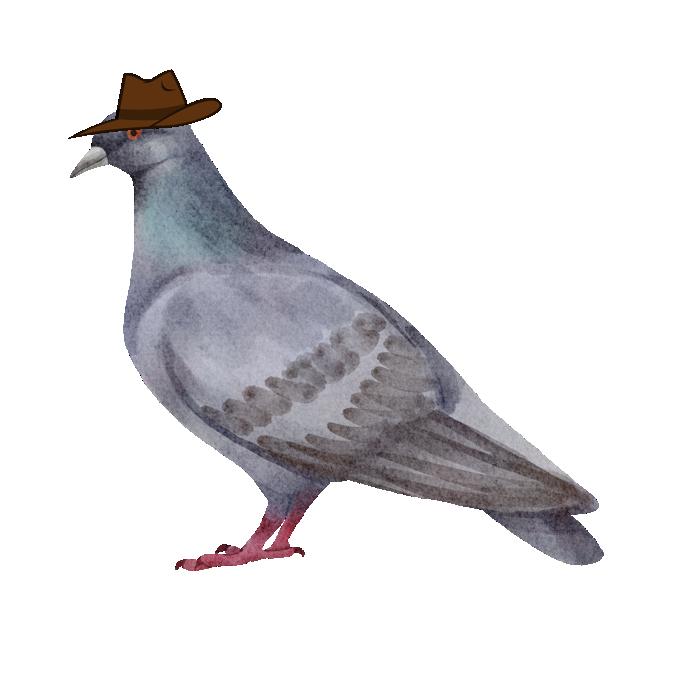 doofinator_'s tweet photo. PERRY THE PIGEON!?!
https://t.co/NiU8NJiT4t https://t.co/Dvu52fqFmg