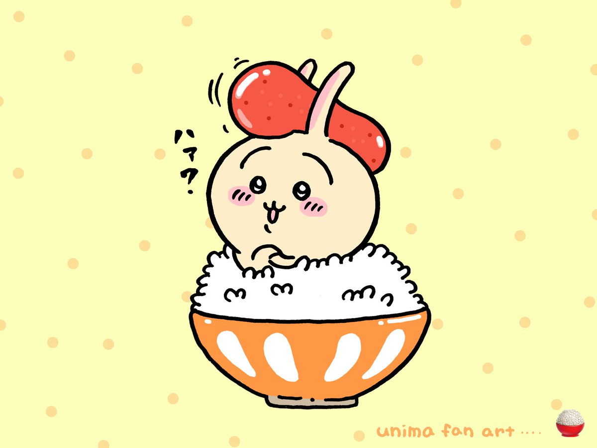 no humans food rice bowl polka dot solo polka dot background  illustration images