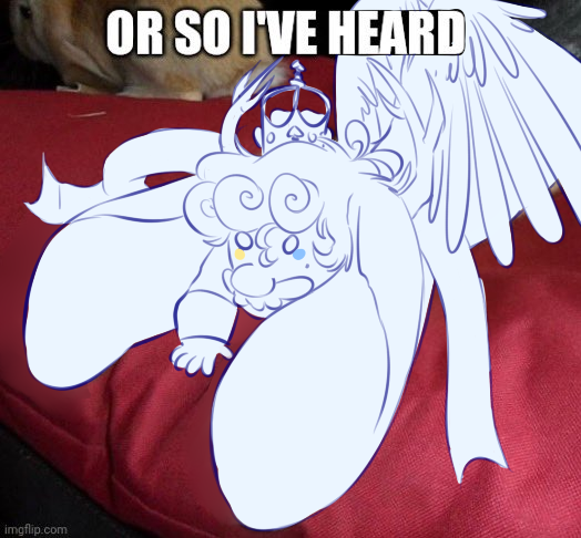 thenyaner6000's tweet image. 