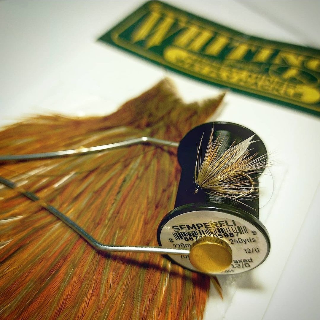 Wickham's Fancy with one of my favourite capes, Whitings Rusty Dun hen 🤩. Tied with Semperfli Classic Wax and wood pigeon slips in GB's style.
@g_bfishing @FarmsWhiting @semperfli 
#flyfishing #flytying #trout #troutflies #wetfly #traditional