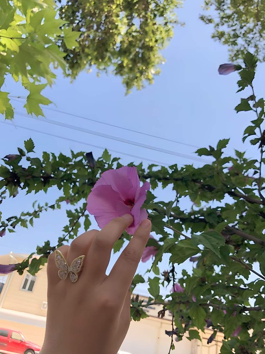 أحبُّ النوافِذ والسَّماء ودعواتِ الأحِبة
أحبُّ كُل شئ يُدخِل النُّور إلى حياةِ الإنسان
#ثم
صباحُ الخير..🥰
يَا مَن تُحبُّونَ الصَّبَاحَ تَبسَّمُوا
بَسماتُكم فَوقَ الشِّفَاهِ صَبَاحُ! 🥰