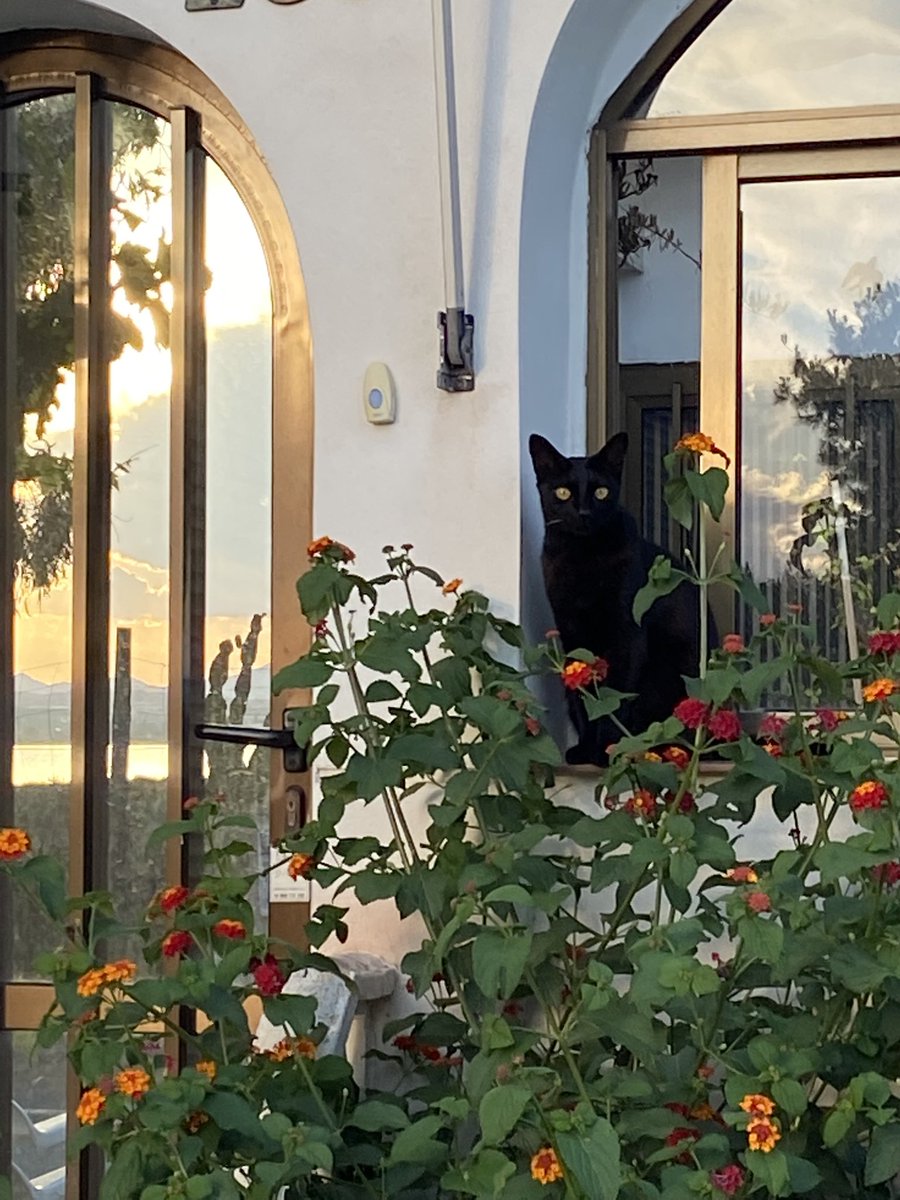 Torrevieja de mi corazón