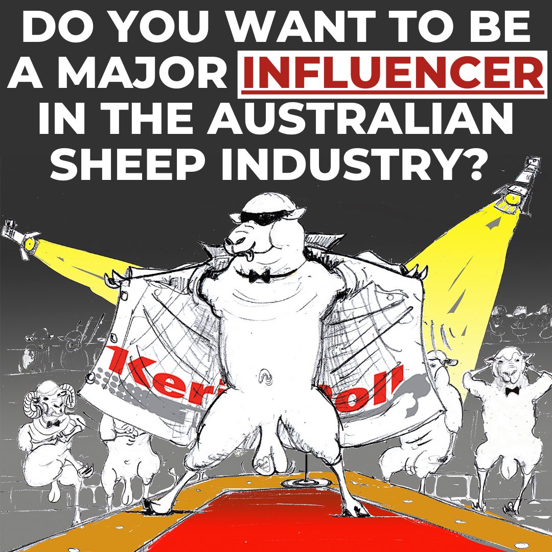 Do you want to be a major influencer in the Australian sheep industry? Kerin Poll Merino is on the hunt for an Assistant Stud Manager. 
For the full job description and to apply please visit kerinpoll.com.au/careers or link in the bio #AgJobs #FarmJobs #AgCareers #Agriculture