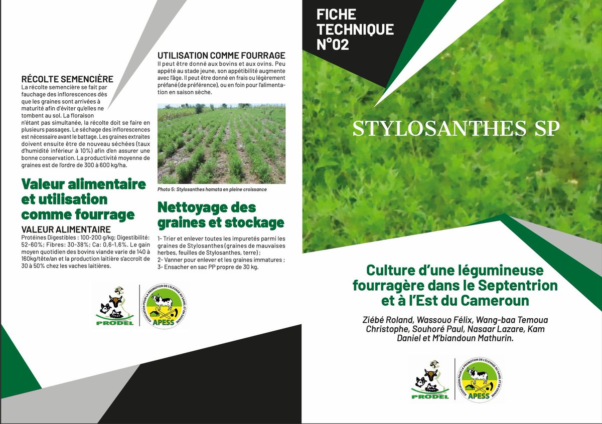 prodel_cm's tweet photo. FICHES TECHNIQUES PRODEL

📄 Fiche technique n°01 BRACHIARIA 
⬇️   https://t.co/roMAcXeY75
📄 Fiche technique n°02 STYLOSANTHES SP 
⬇️  https://t.co/DmWgdyg2ml
📄 Fiche technique n°03 SORGHO FOURRAGER 
⬇️   https://t.co/VcXrrIKuX4 https://t.co/kCeGF9UBaT