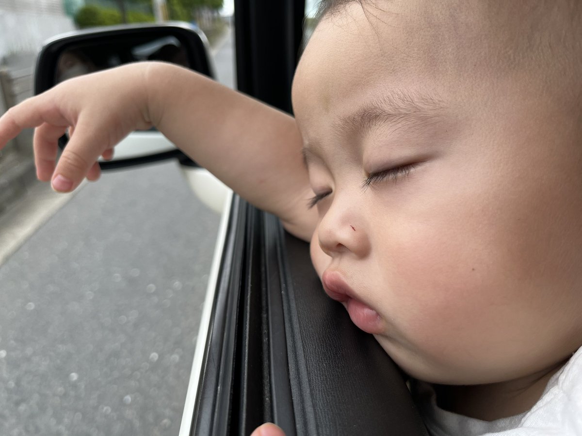 525Myuu's tweet photo. 昨日ドライブ中に外見て
「あ！」って指差したまま限界きて寝てた🤣💤爆笑
もぉホンマにおもろい https://t.co/659YEP0tL4