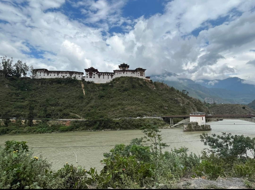 💥FasonArts.eth💥 tweet media