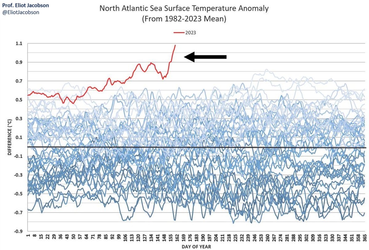 En este hilo comento la situación especial que estamos teniendo en el Atlántico, donde los niveles récords de calentamiento de esta primavera se han incrementado notablemente en la última semana, tal y como muestra esta gráfica.