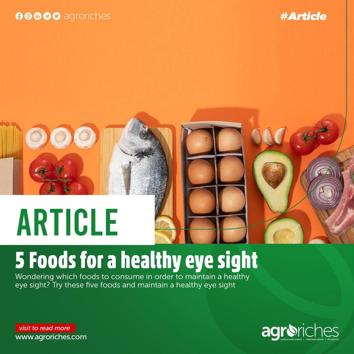 Foods to eat for a healthy eye sight.
Visit our website, agroriches.com, to read more.

#agroriches #agriculturaltrends #agriculturenews #african #women #agricultureinghana #ghana #articles #farming #growth #food #agriculture #technology