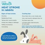 Photo by White Cross Vets (@WhiteCrossVets)