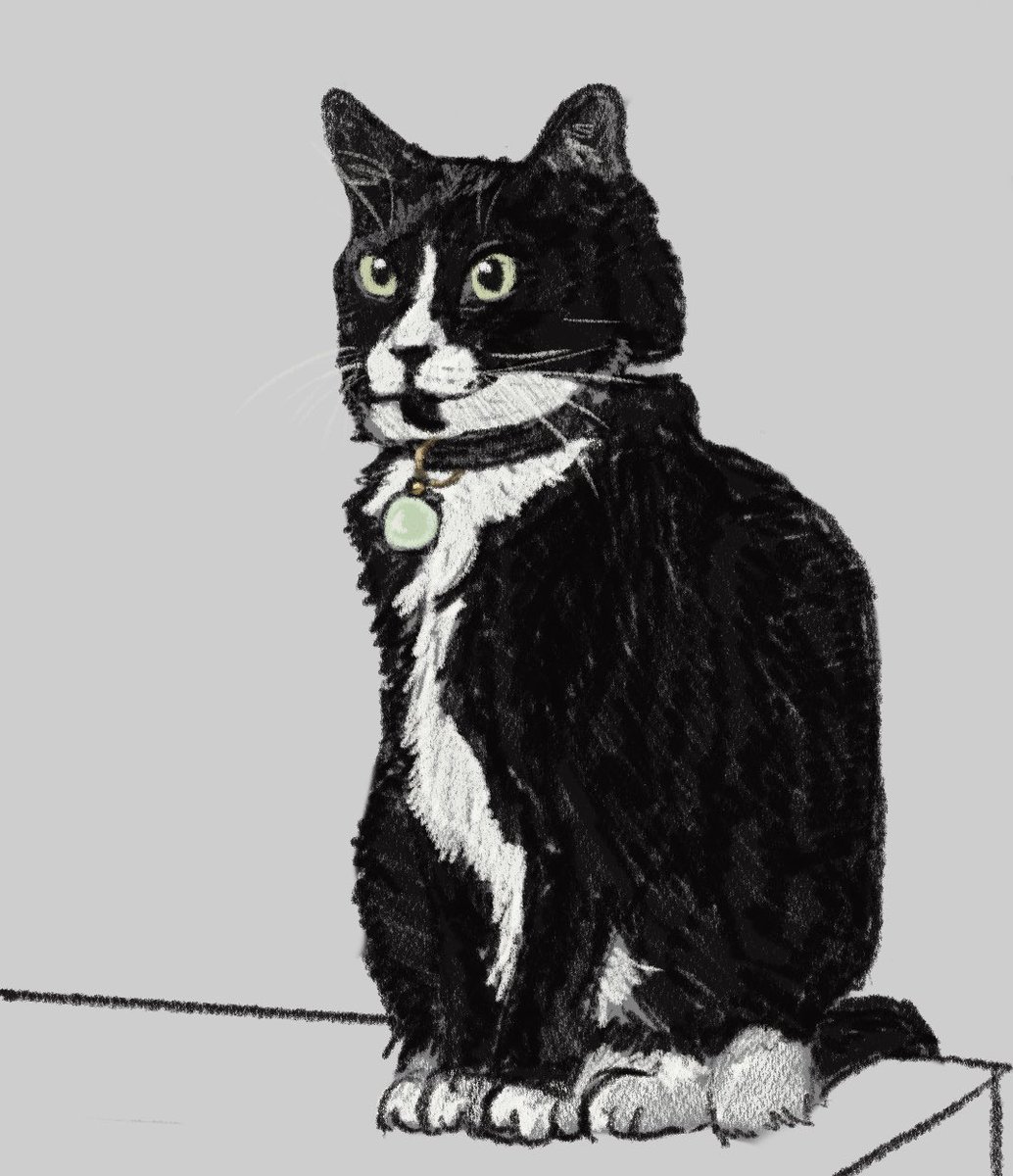 willdrawyourcat's tweet photo. Luna and Lees 

#cat #art #drawing #digitalart https://t.co/cO3niIwW5z