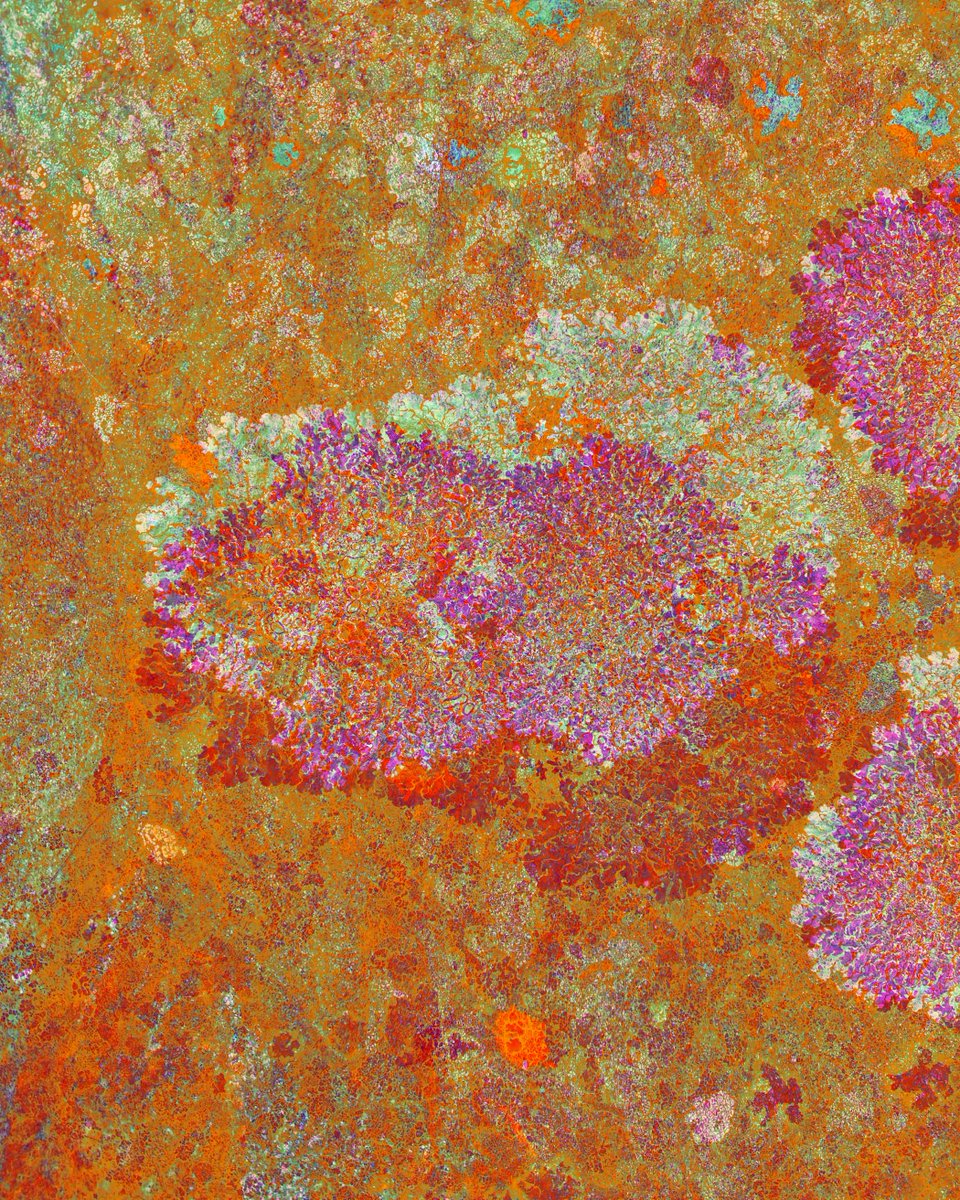 Emmaboshi tweet media