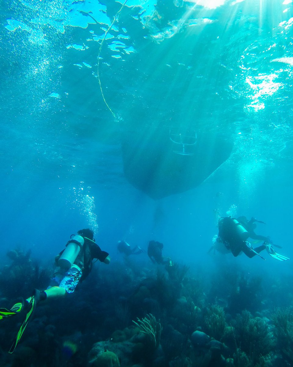 Monday feels like surfacing back to the dive boat 😞 It always comes too soon! Hope everyone had a great weekend 🤿 #mondaymood #scubadiving