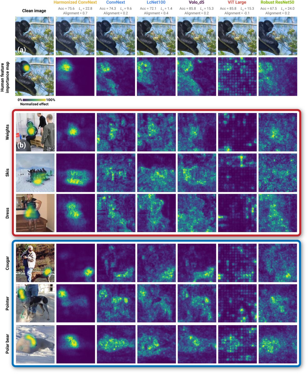The sensitivity of DNNs to adversarial attacks has long been thought to be an "Achilles heel" that will ultimately make them unsafe in real-world applications.

Has this sensitivity changed as DNNs have scaled-up and rivaled or beat human-level accuracy?

serre-lab.github.io/Adversarial-Al…