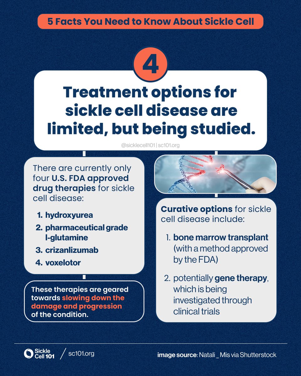 There are only 4 U.S. FDA approved drug therapies for #sicklecell disease. Their target is to slow down the damage and progression of the condition. Curative options include bone marrow transplant and potentially gene therapy. #WorldSickleCellDay #sicklecell101 #juneteenth