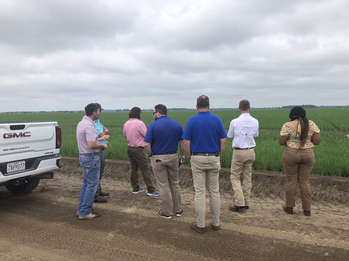 Steve Linscombe tweet media