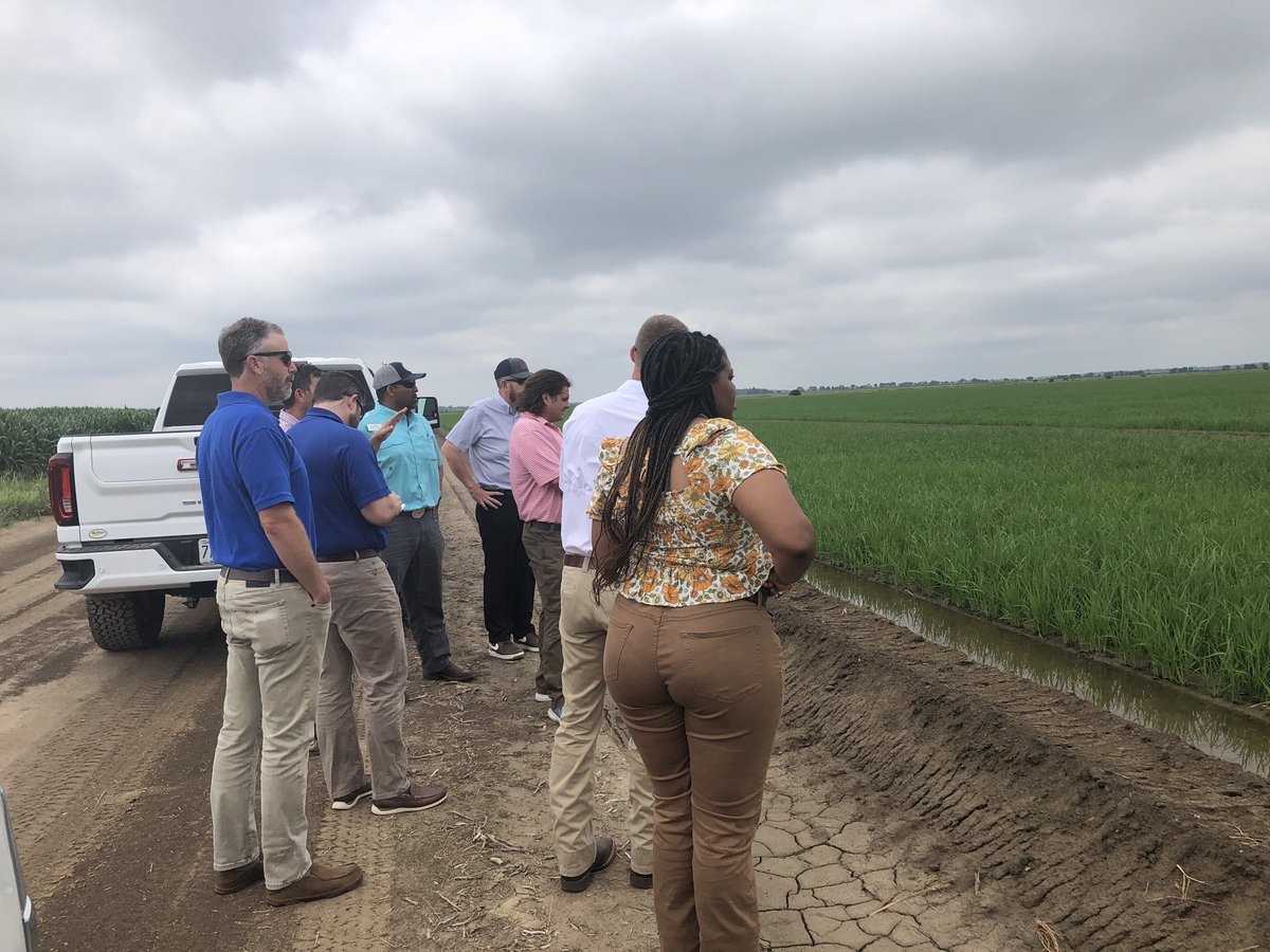 Steve Linscombe tweet media